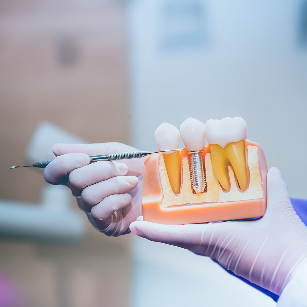  html    head  title 500 Internal Server Error  title   head    body    center  h1 500 Internal Server Error  h1   center    hr  center nginx 1.29.3  center     body     html 